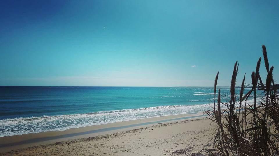 La Gioia di Sicilia B&B Avola Esterno foto